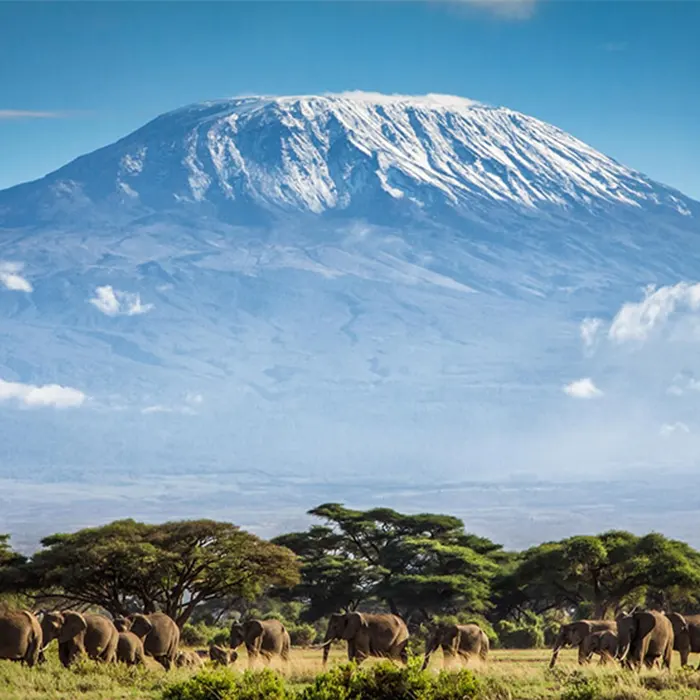 Mount Kilimanjaro Tanzania Excellent Tours and Safari