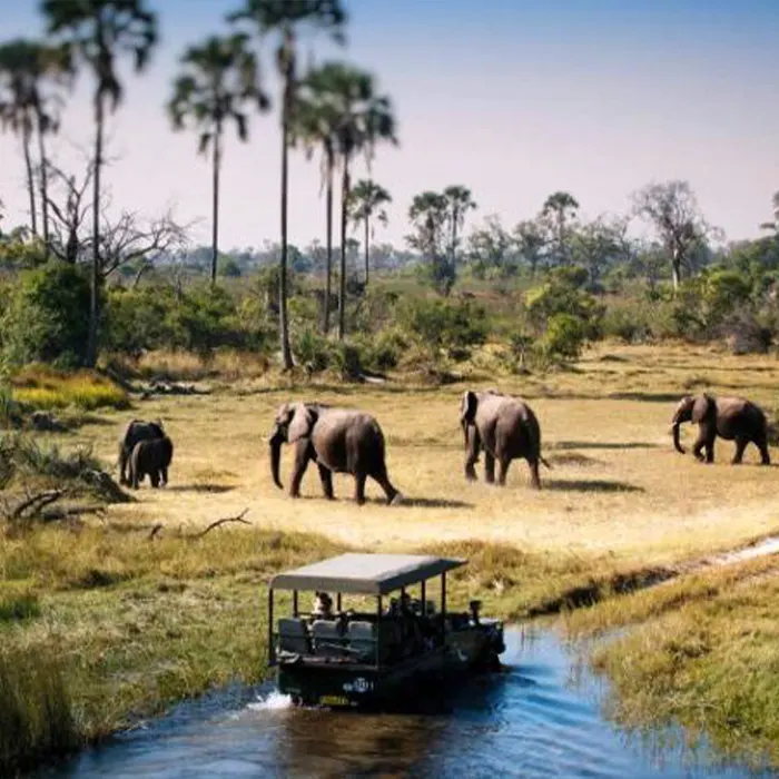 Game drives along Tarangire elephants with Tanzania Excellent Tours and Safari